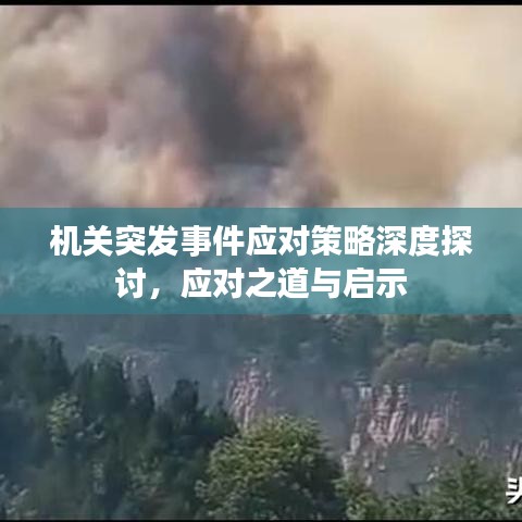 機(jī)關(guān)突發(fā)事件應(yīng)對(duì)策略深度探討，應(yīng)對(duì)之道與啟示