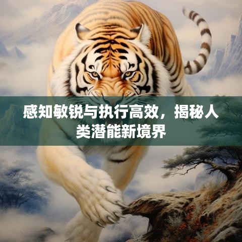 感知敏銳與執(zhí)行高效，揭秘人類潛能新境界