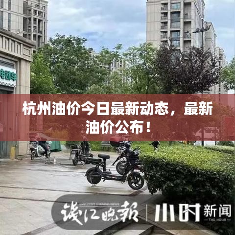 杭州油價(jià)今日最新動(dòng)態(tài)，最新油價(jià)公布！