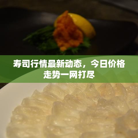壽司行情最新動(dòng)態(tài)，今日價(jià)格走勢(shì)一網(wǎng)打盡