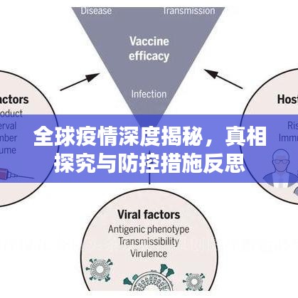 全球疫情深度揭秘，真相探究與防控措施反思