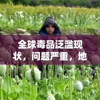 全球毒品泛濫現(xiàn)狀，問(wèn)題嚴(yán)重，地區(qū)排名與治理挑戰(zhàn)