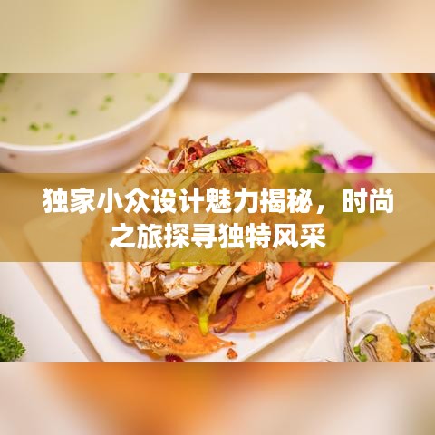 獨(dú)家小眾設(shè)計(jì)魅力揭秘，時(shí)尚之旅探尋獨(dú)特風(fēng)采