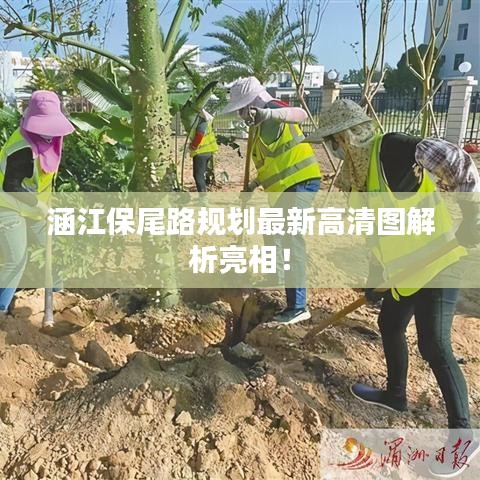 涵江保尾路規(guī)劃最新高清圖解析亮相！