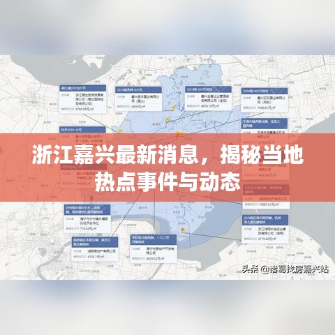 浙江嘉興最新消息，揭秘當地熱點事件與動態(tài)