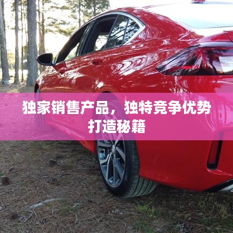 獨(dú)家銷售產(chǎn)品，獨(dú)特競爭優(yōu)勢打造秘籍