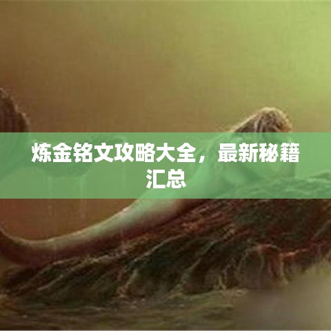 煉金銘文攻略大全，最新秘籍匯總