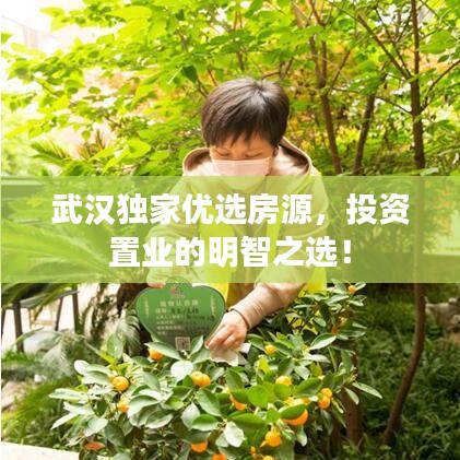 武漢獨(dú)家優(yōu)選房源，投資置業(yè)的明智之選！