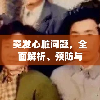 突發(fā)心臟問題，全面解析、預(yù)防與應(yīng)急處理方案