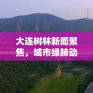 大連樹林新聞聚焦，城市綠肺動態(tài)更新