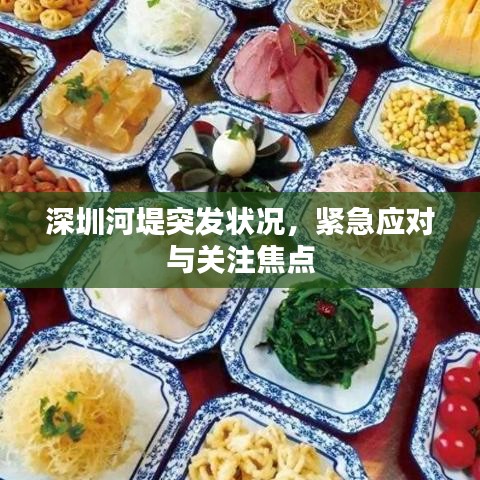 深圳河堤突發(fā)狀況，緊急應(yīng)對(duì)與關(guān)注焦點(diǎn)