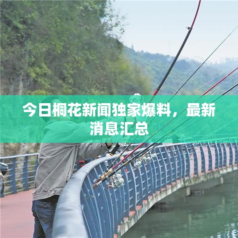 今日桐花新聞獨(dú)家爆料，最新消息匯總
