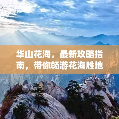華山花海，最新攻略指南，帶你暢游花海勝地！