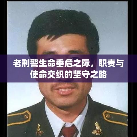 老刑警生命垂危之際，職責(zé)與使命交織的堅(jiān)守之路
