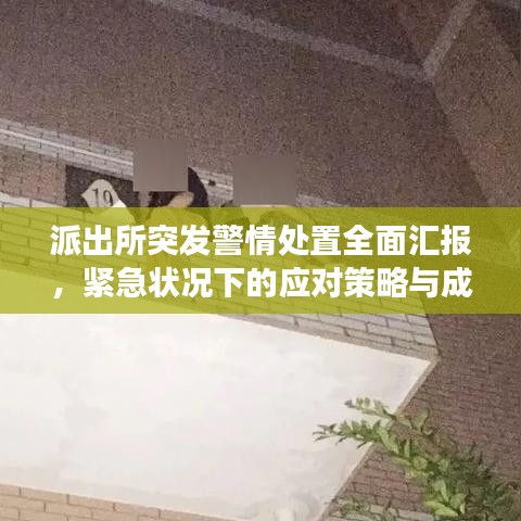 派出所突發(fā)警情處置全面匯報(bào)，緊急狀況下的應(yīng)對(duì)策略與成效分析