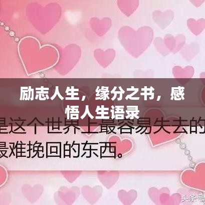 勵志人生，緣分之書，感悟人生語錄