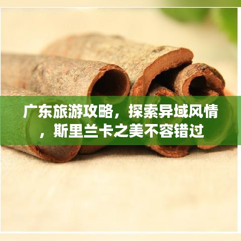 廣東旅游攻略，探索異域風(fēng)情，斯里蘭卡之美不容錯過