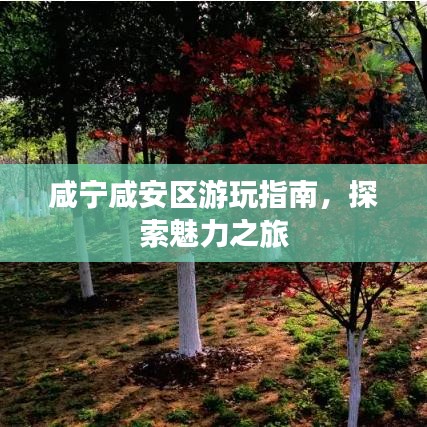 咸寧咸安區(qū)游玩指南，探索魅力之旅