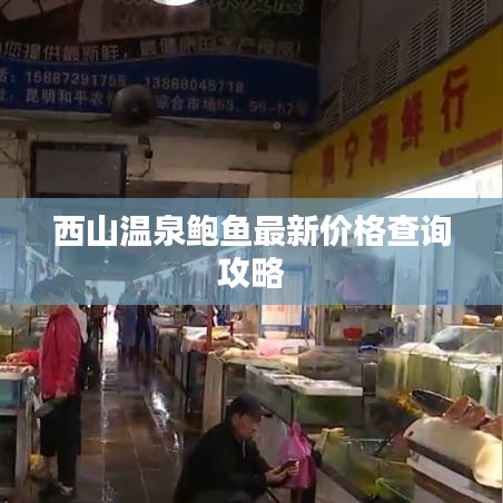 西山溫泉鮑魚(yú)最新價(jià)格查詢(xún)攻略