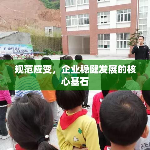 規(guī)范應(yīng)變，企業(yè)穩(wěn)健發(fā)展的核心基石