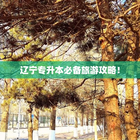 遼寧專升本必備旅游攻略！