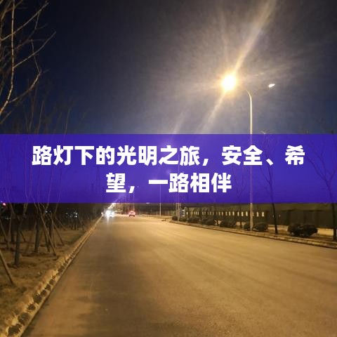 路燈下的光明之旅，安全、希望，一路相伴