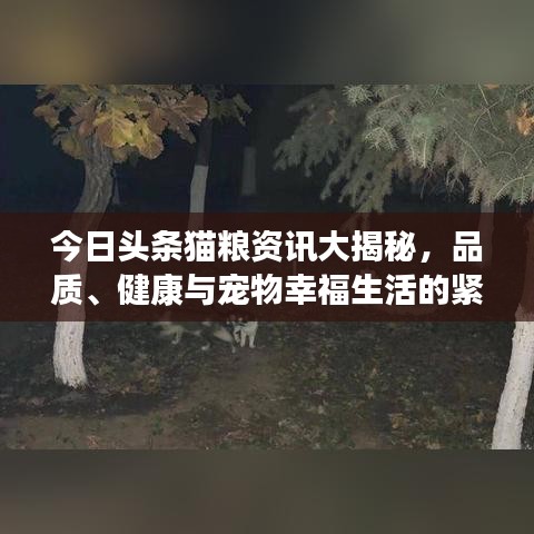 今日頭條貓糧資訊大揭秘，品質(zhì)、健康與寵物幸福生活的緊密關(guān)聯(lián)