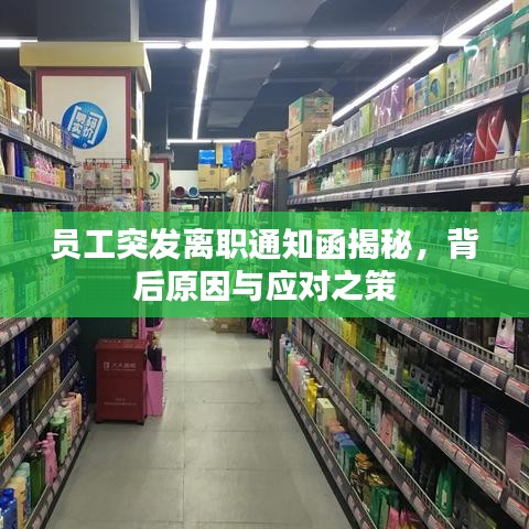 員工突發(fā)離職通知函揭秘，背后原因與應(yīng)對(duì)之策
