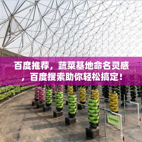 百度推薦，蔬菜基地命名靈感，百度搜索助你輕松搞定！