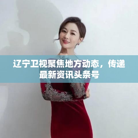 遼寧衛(wèi)視聚焦地方動(dòng)態(tài)，傳遞最新資訊頭條號(hào)