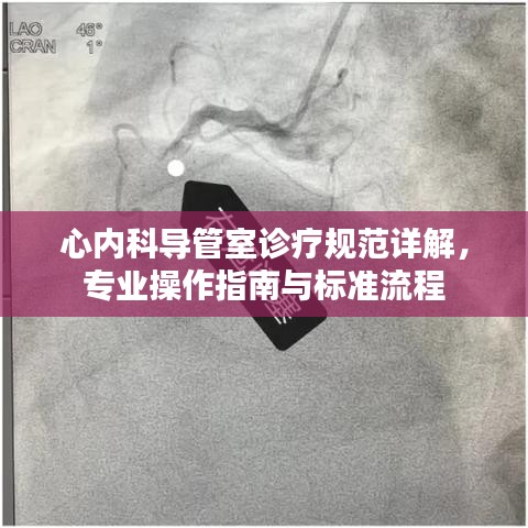 心內(nèi)科導(dǎo)管室診療規(guī)范詳解，專業(yè)操作指南與標(biāo)準(zhǔn)流程