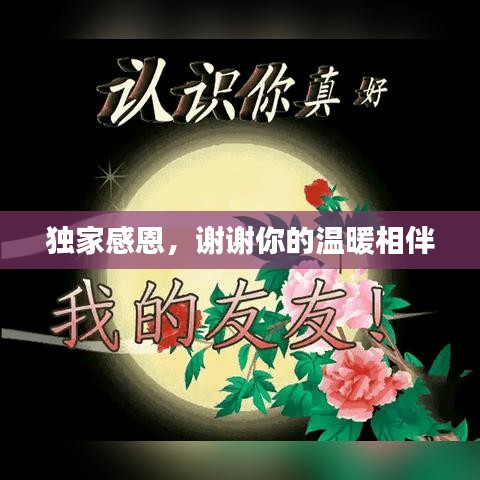 獨家感恩，謝謝你的溫暖相伴