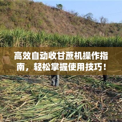高效自動收甘蔗機操作指南，輕松掌握使用技巧！