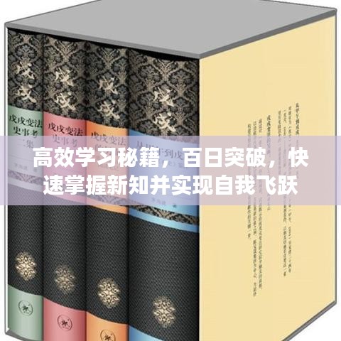 高效學(xué)習(xí)秘籍，百日突破，快速掌握新知并實(shí)現(xiàn)自我飛躍