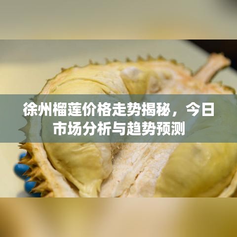 徐州榴蓮價格走勢揭秘，今日市場分析與趨勢預(yù)測