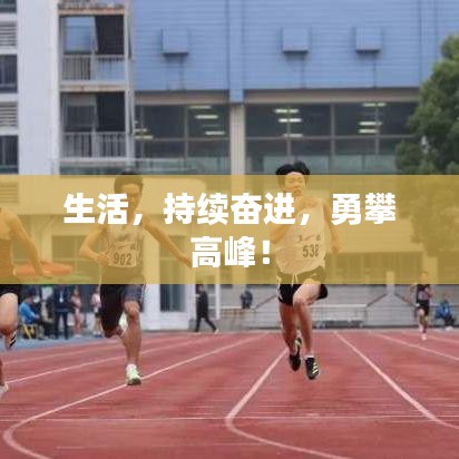 生活，持續(xù)奮進(jìn)，勇攀高峰！