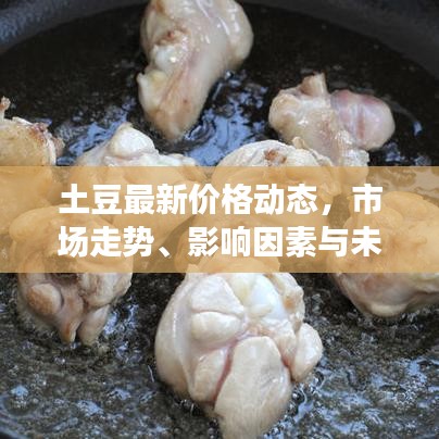 土豆最新價(jià)格動(dòng)態(tài)，市場(chǎng)走勢(shì)、影響因素與未來(lái)預(yù)測(cè)分析