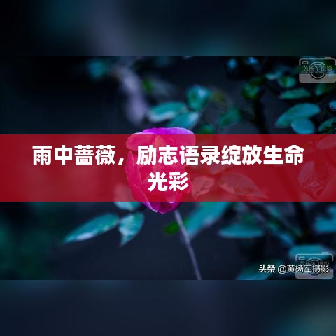 生張熟魏 第2頁(yè)
