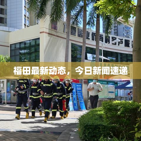 福田最新動(dòng)態(tài)，今日新聞速遞