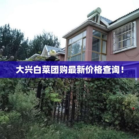 大興白菜團(tuán)購(gòu)最新價(jià)格查詢！