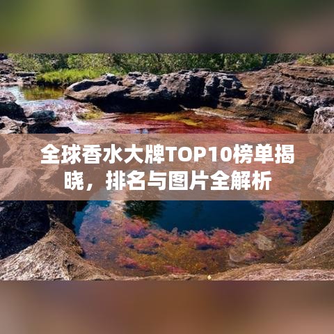 全球香水大牌TOP10榜單揭曉，排名與圖片全解析