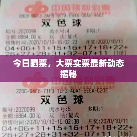 今日曬票，大票實(shí)票最新動(dòng)態(tài)揭秘