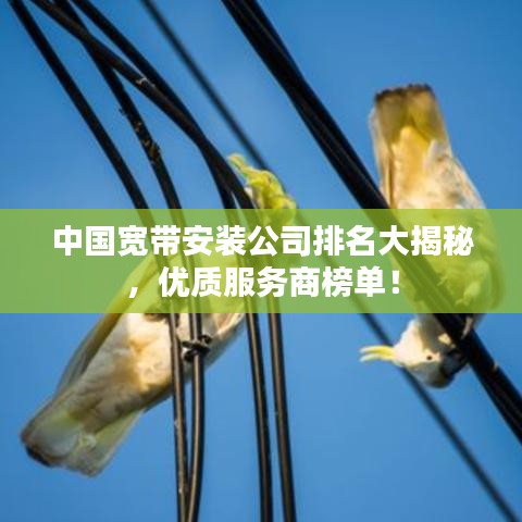 中國(guó)寬帶安裝公司排名大揭秘，優(yōu)質(zhì)服務(wù)商榜單！
