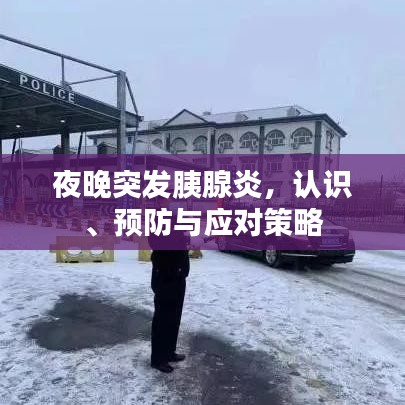 夜晚突發(fā)胰腺炎，認識、預(yù)防與應(yīng)對策略