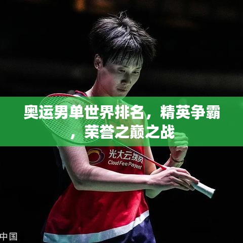 奧運男單世界排名，精英爭霸，榮譽之巔之戰(zhàn)