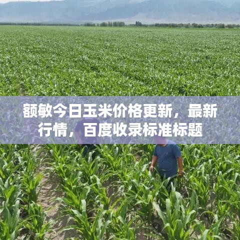 額敏今日玉米價格更新，最新行情，百度收錄標準標題