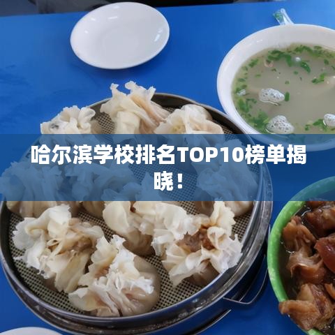 哈爾濱學(xué)校排名TOP10榜單揭曉！