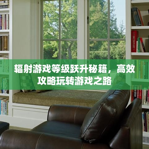 輻射游戲等級躍升秘籍，高效攻略玩轉游戲之路