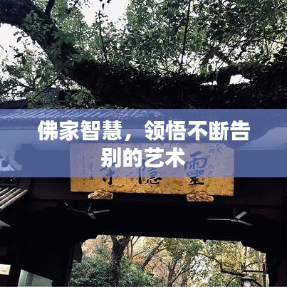 佛家智慧，領(lǐng)悟不斷告別的藝術(shù)
