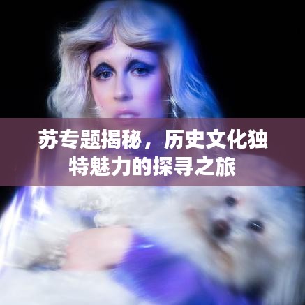 蘇專題揭秘，歷史文化獨(dú)特魅力的探尋之旅